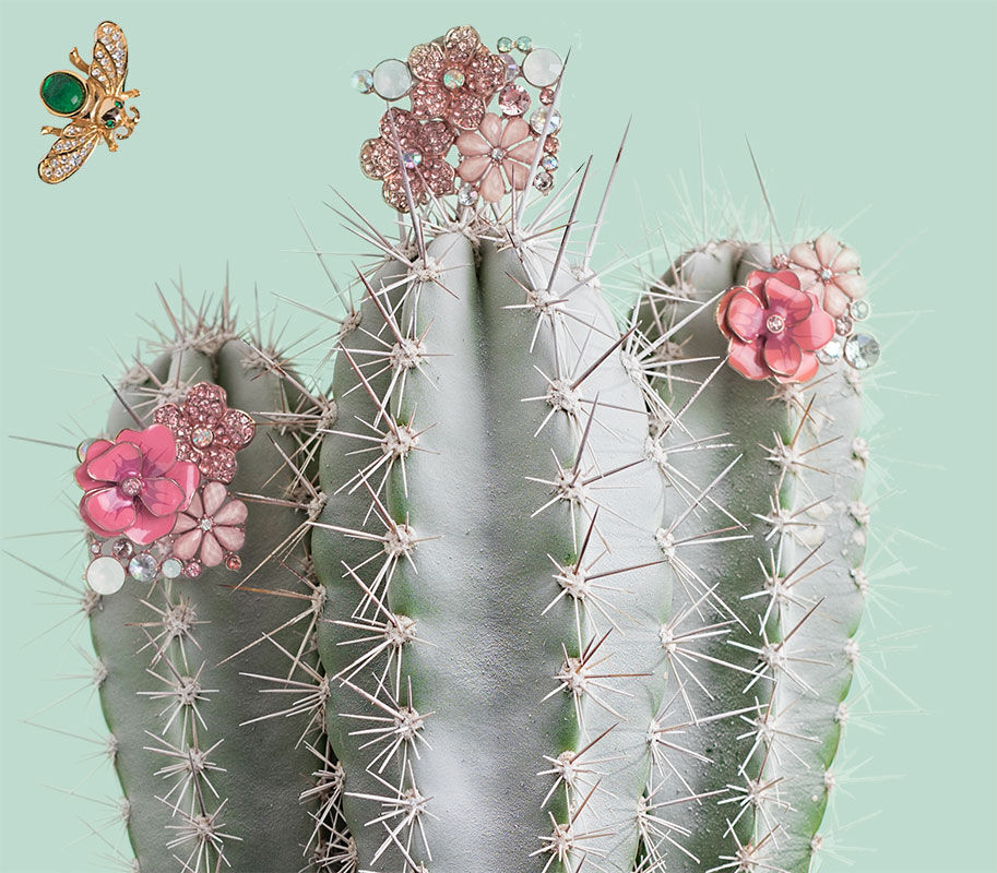 The Cactus Flower fragrance